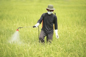 Pesticides & Explosive